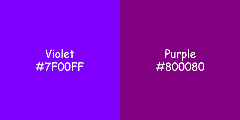 Violet vs Purple