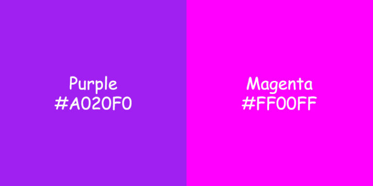 Purple vs Magenta: Exploring the Color Differences for Fashion