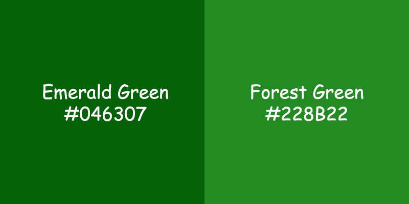 Emerald Green vs. Forest Green: Exploring Color Differences - xplorecolor