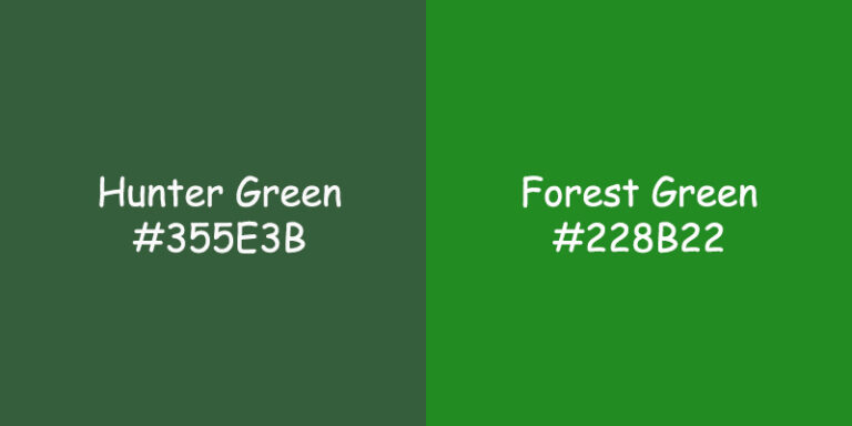 Hunter Green vs Forest Green: Comparing Colors for Fashion and Home Decor