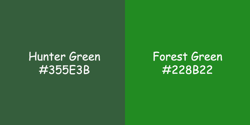 Hunter Green vs Forest Green