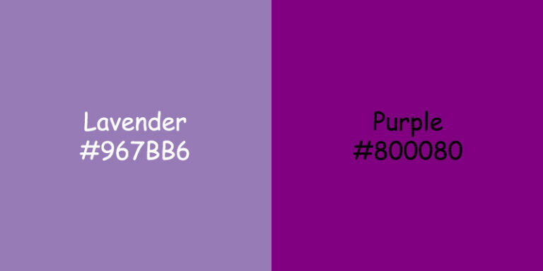 Lavender vs Purple: Exploring the Differences in Color