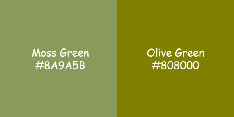 Moss Green vs Olive Green: Choosing the Perfect Color