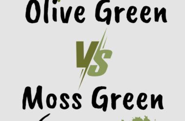 Olive Green vs Moss Green Paint Colors: Comparison Guide