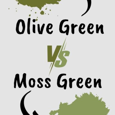 Olive Green vs Moss Green Paint Colors: Comparison Guide