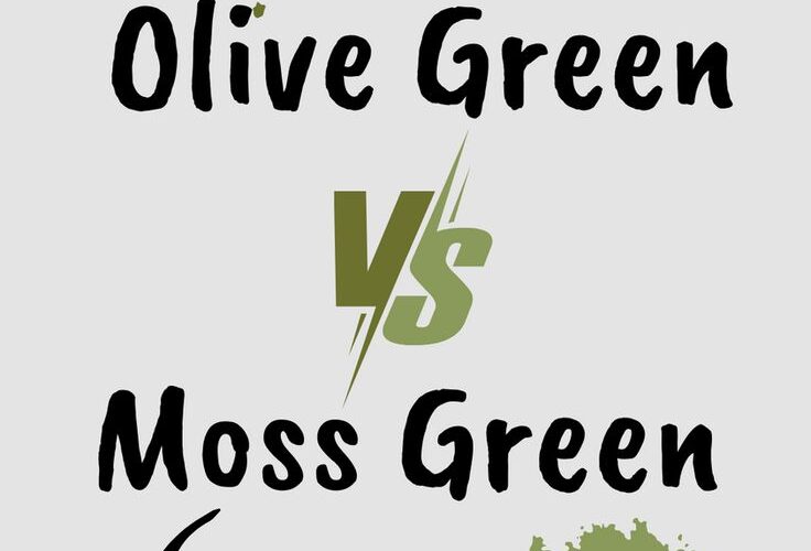 Olive Green vs Moss Green Paint Colors: Comparison Guide