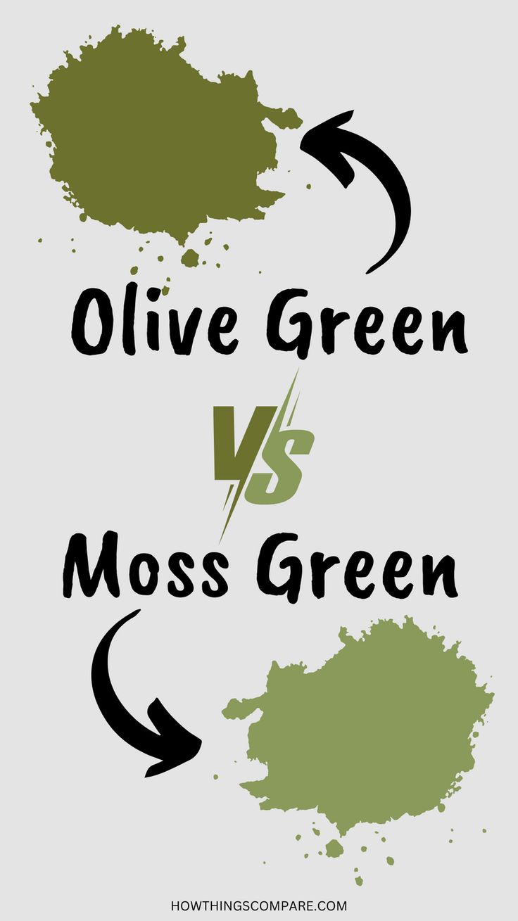 Olive Green vs Moss Green Paint Colors: Comparison Guide